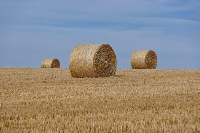 Subvenții APIA 2026: ghid complet pentru fermierii care vor să depună corect cererea de plată