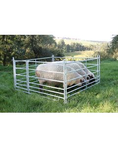 panou pasune oi cu poarta