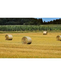 Plasa baloti  Rondo 1,25 x 3600 m