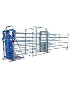 sistem de prindere si tratament vaci