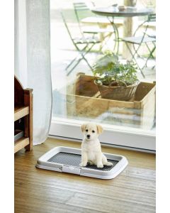 Toaleta pentru caini