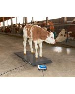 Cantar electronic pentru animale Kerbl