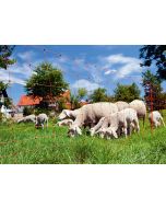 Plasa pentru gard electric Ovi Net AKO cu doua varfuri
