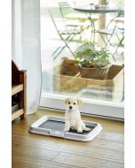 Toaleta pentru caini