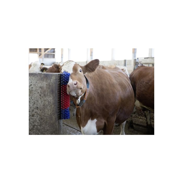 Mountaineer Similarity Narabar Perie de scarpinat pentru vitei si capre Kerbl - Super Farm Land