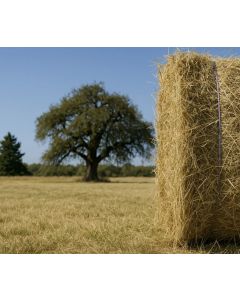 Sfoara balotat Lavanda 750/10 kg
