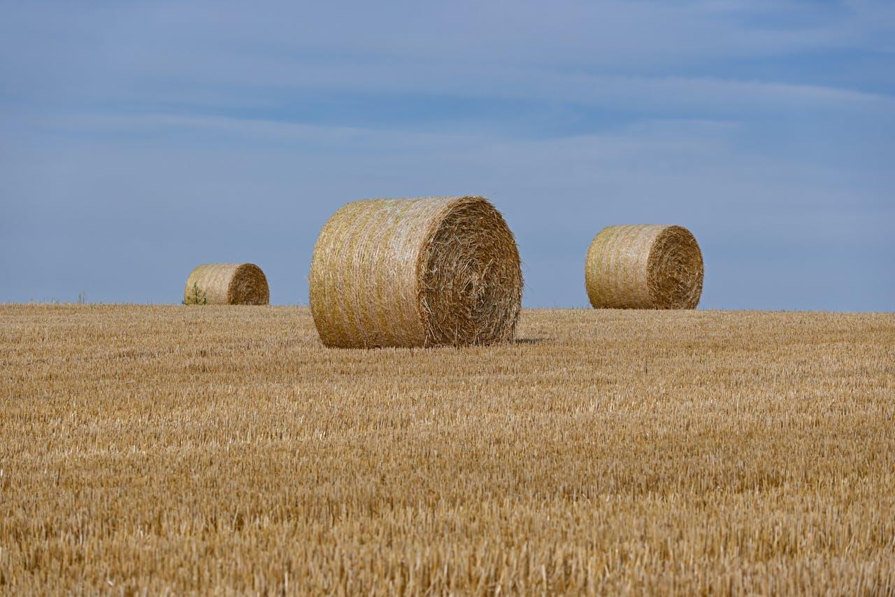 Subvenții APIA 2026: ghid complet pentru fermierii care vor să depună corect cererea de plată