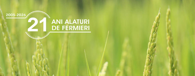 Promotii si oferte speciale