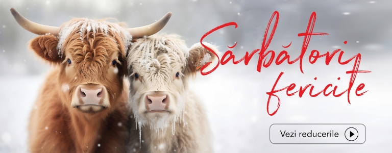 Promotii si oferte speciale