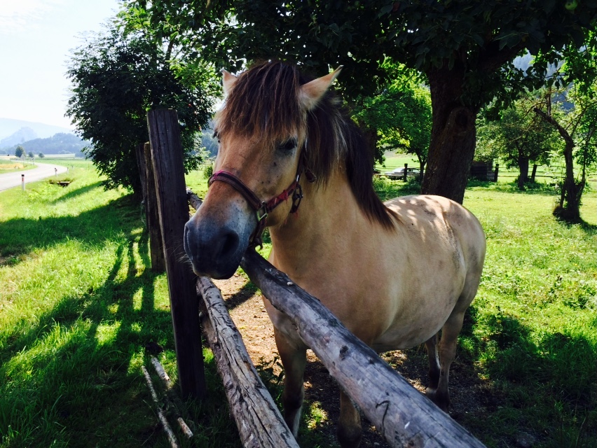 Photo 12-07-15 10 48 17