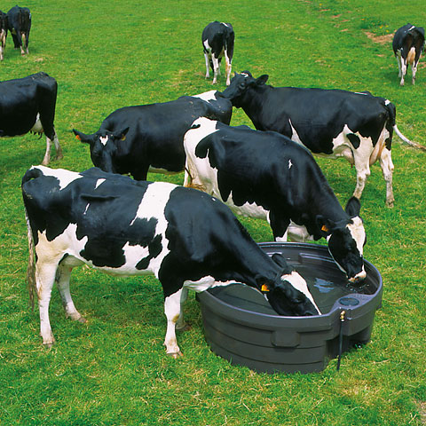 adapatoare-pajiste-prebac_1