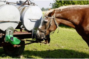 adapatoare cai cisterna apa