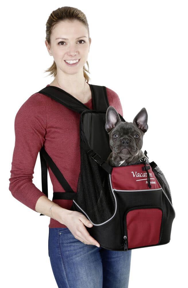 geanta frontala caini